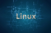 Linux: From Open Source Revolution to the Future